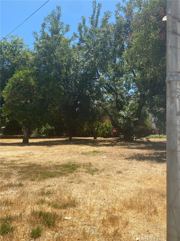 7110 Firmament Avenue