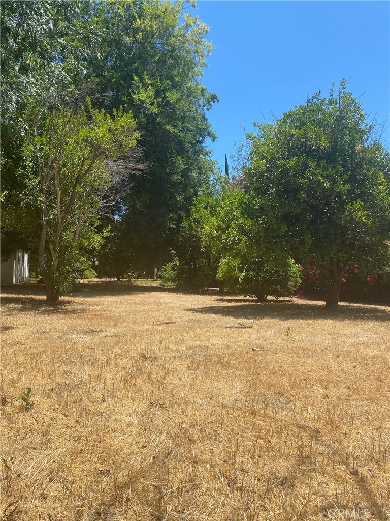 7110 Firmament Avenue