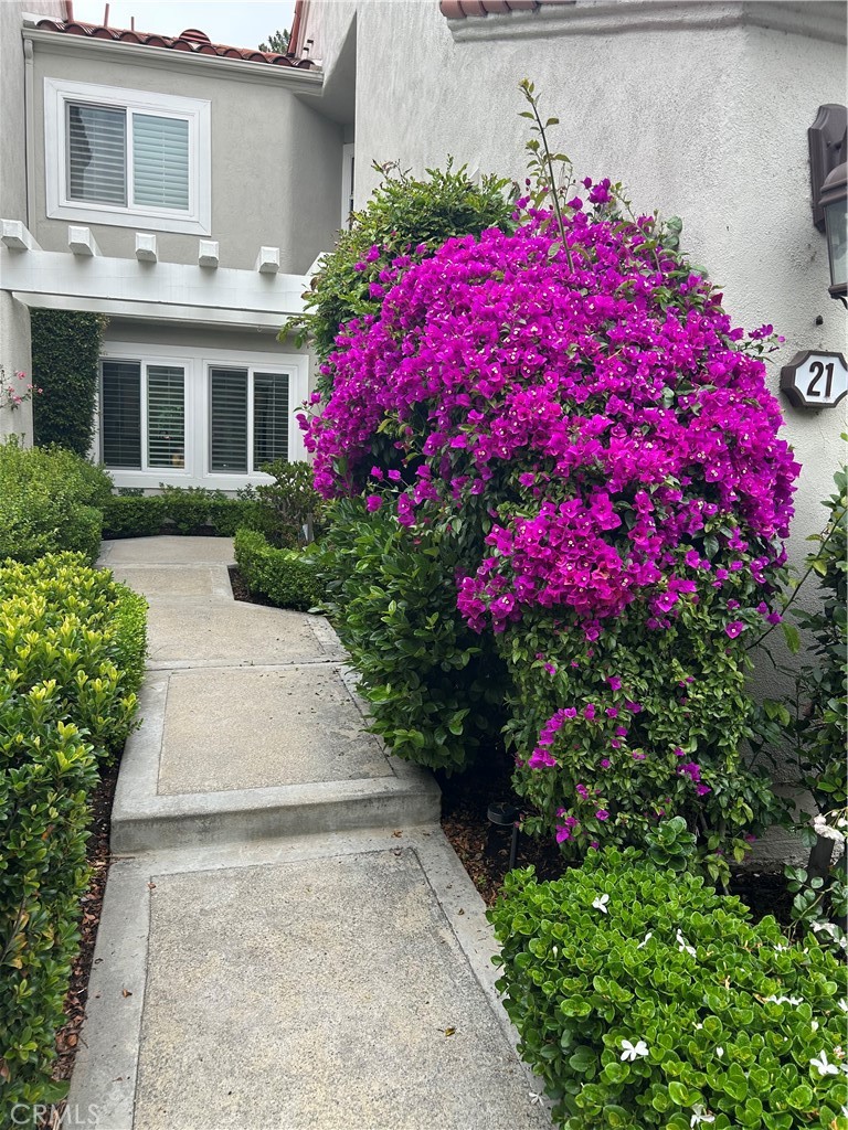 Pointe - Turtle Rock (PO) - Residential Lease