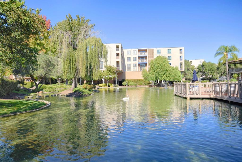 WALNUT CREEK - Residential