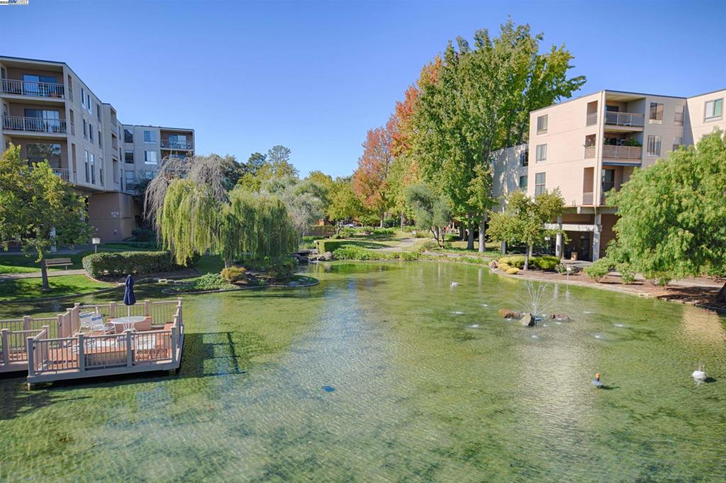 WALNUT CREEK - Residential