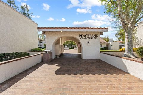 25027 Peachland Avenue 260 Newhall CA 91321