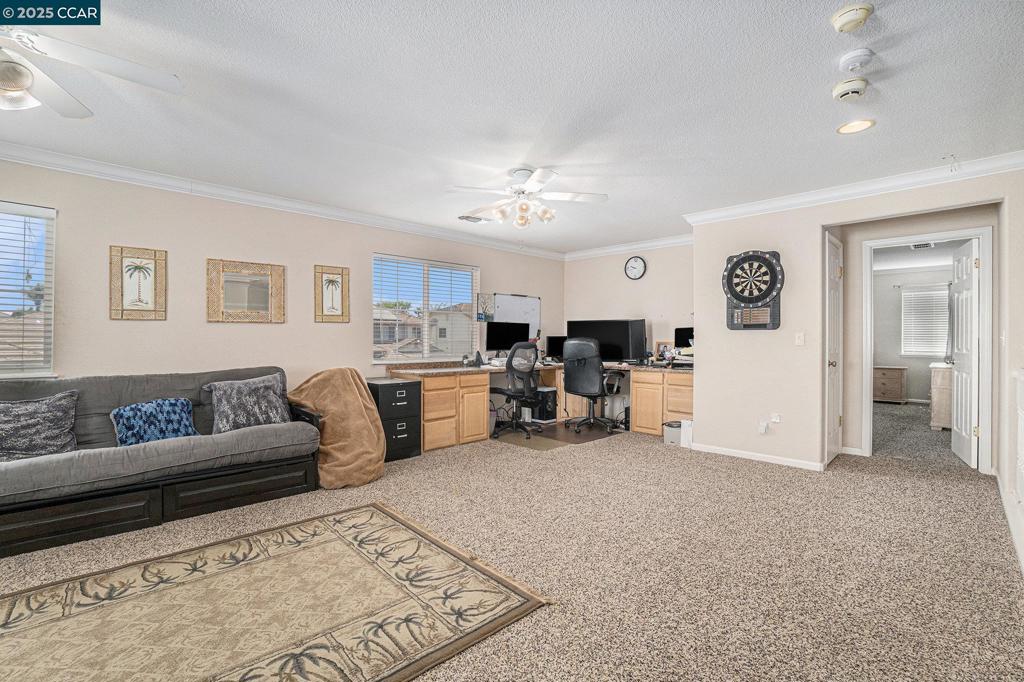 TIMBER POINT - Residential