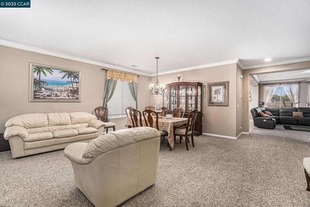 TIMBER POINT - Residential