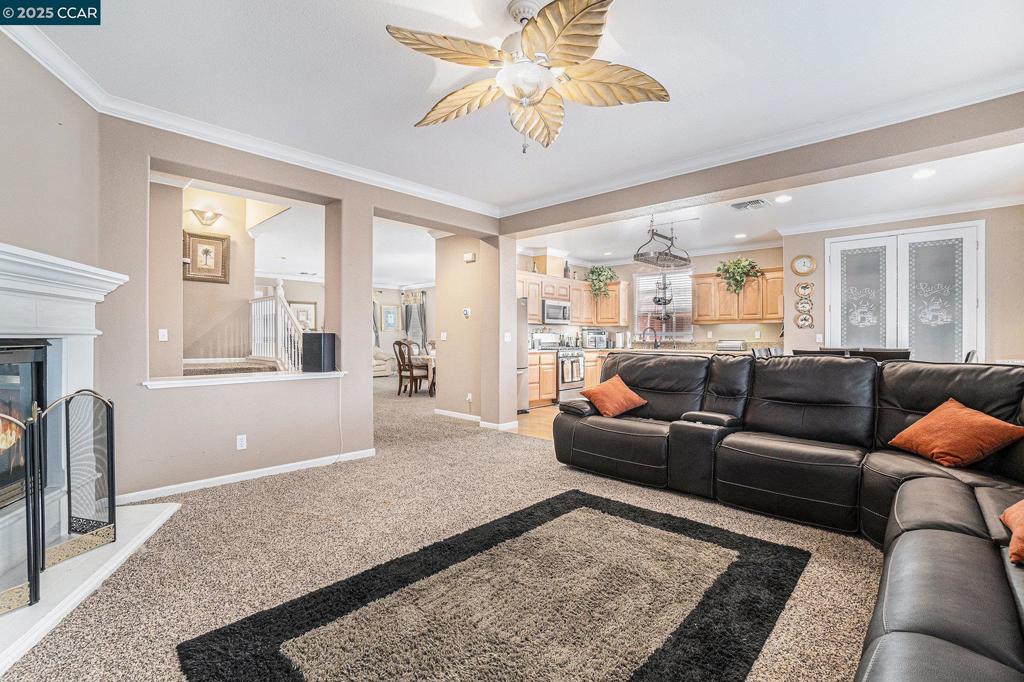 TIMBER POINT - Residential