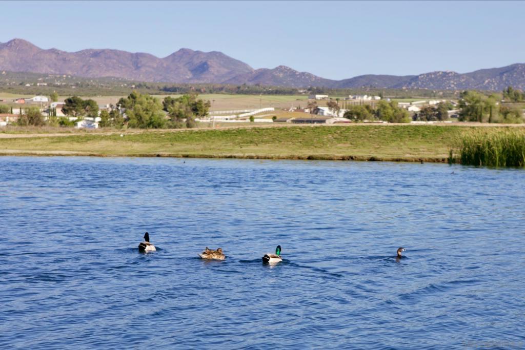 Out Of Area - Residential