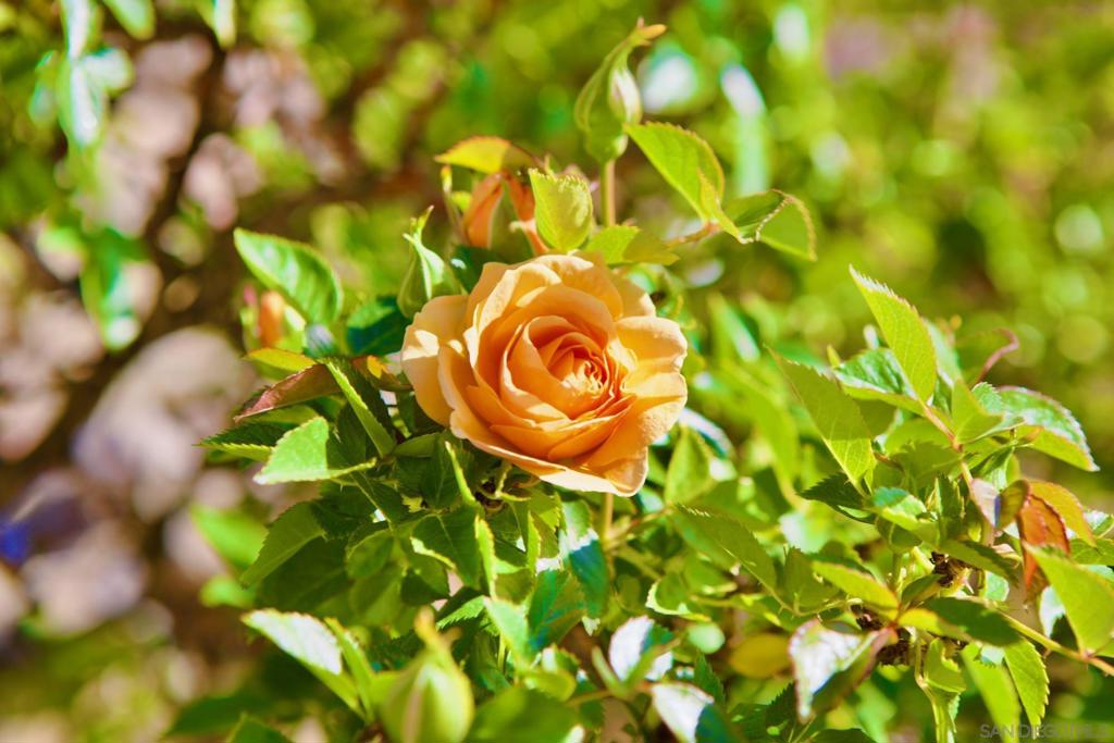 Out Of Area - Residential