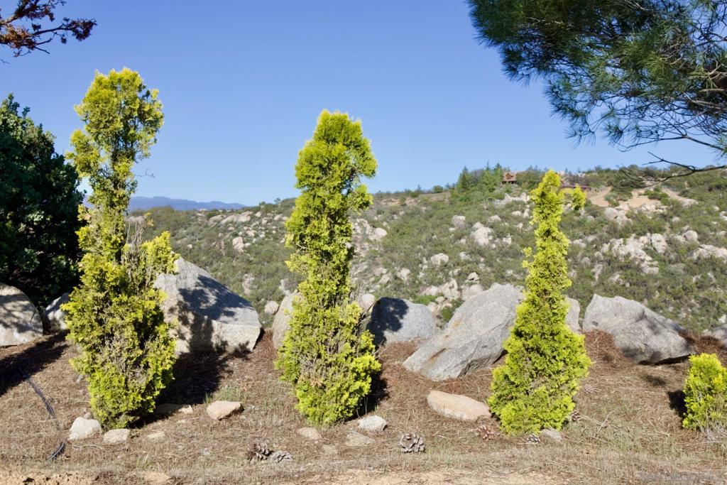 Out Of Area - Residential