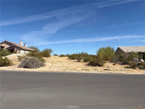 26660 Lakeview Helendale CA 92342