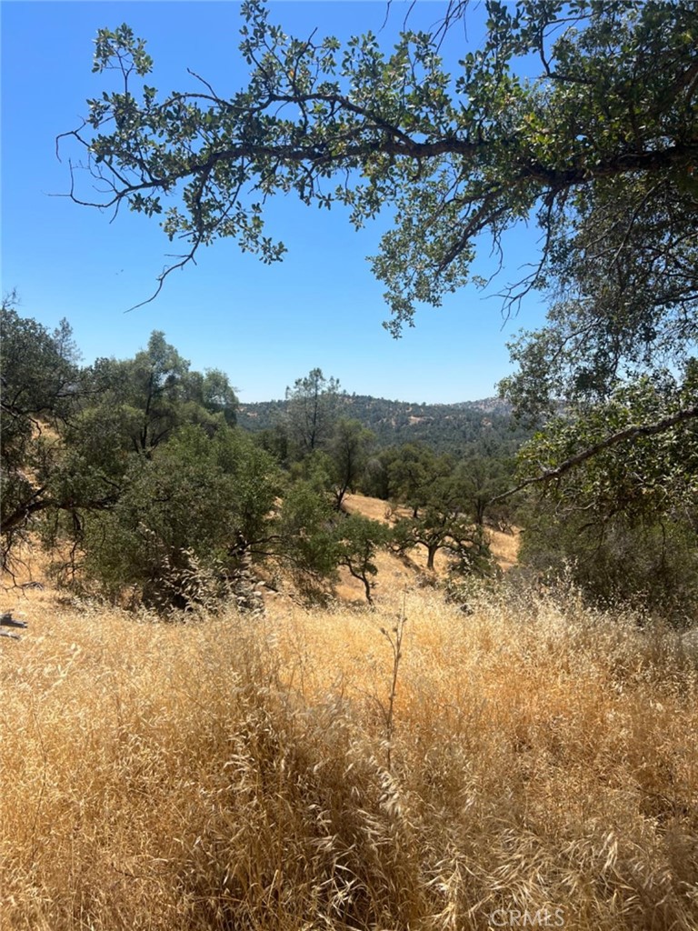 Escape to the beauty of Yosemite Lakes Park with this exceptional opportunity to own over 3 acres of pristine, usable land with stunning views of the surrounding foothills. Nestled in a peaceful, nature-filled community, this property offers the perfect setting to build your potential dream home, create a private retreat, or simply enjoy a serene slice of the countryside. With three potential building sites identified by the seller and access to a community water, the possibilities are endless. Horses are allowed on the property, and the community offers a wide range of amenities, including an equestrian center, horse trails, a golf course, swimming pool, and summer concerts at the community center. The lot is conveniently located just 30 minutes from Bass Lake, 45 minutes to Yosemite National Park, and 30 minutes to shopping and dining at River Park in Fresno. Don’t miss this rare opportunity to create your own retreat!