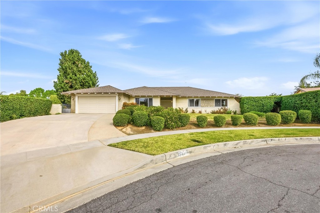 1631 Benita Marie Crest