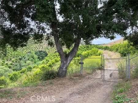 LEMONCELLO TIME! LEMOS GALORE! CLOSE - IN 2 LEGAL PARCELS OF EUREKA LEMONS TO BE SOLD TOEGETHER. APPROXIMATELY 2290 EUREKA LEMON TREES FULLY LOADED. COME SEE THIS VERY WELL MAINTAINED GROVE THE HANGING CROP IS NEGOCIABLE PLUS UPON NEW OWNER APPROVAL THE SELLER IS WILLING TO PURCHASE SOME OF THE FRUIT FOR HIS SMALL BUSINESS USE. THERE IS A 2" WATER METER SERVICING THE LEMONS PLUS A WELL (PRESENTLY CAPPED AND NOT BEING UTUILIZED) PARCEL 1 (938-240-010) IS 10.14 NET ACRES AND PARCEL 2 (938-240-011) IS 9.42 NET ACRES FOR A TOTAL OF 19.56 NET ACRES AND 20 GROSS ACRES BOTH PARCELS COMBINED. THIS (2) PARCEL OFFERING IS PERFECT FOR A FAMILY COMPOUND OR PARTNERSHIP WHEREAS EACH PARTY COULD OWN THEIR OWN LOT. PARCEL 1 HAS MANY MATURE OAK TREES AND A NATURAL VIEW SITE TO PLACE A FUTURE HOME. PARCEL 2 HAS AN ELEVATED SITE WITH MEGA PANORAMIC VIEWS!! THE SELLER WILL CONSIDER A SELLER FINANCING PLAN WITH A QUALIFIED BUYER. SOME PRODUCTION RECORDS AND WELL COMPLTION REPORT ARE AVAILABLE UPON REQUEST FROM A QUALIFIED BUYER.
WATER IN STREET AND POWER VERY CLOSE BY BUYER TO VERIFY ALL UTILITY AVAILABILITIES TO SATISFY THEMSELVES.