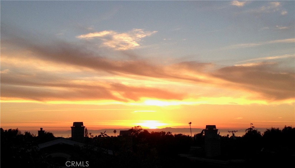 3611 Daffodil Avenue 38