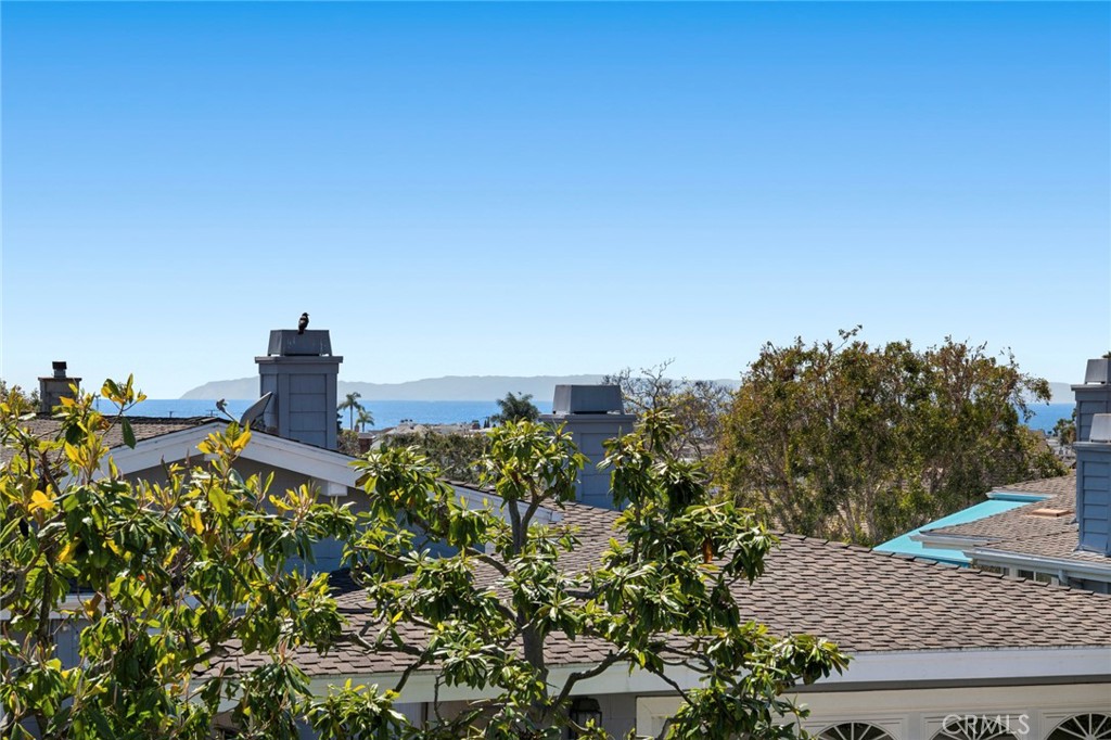 3611 Daffodil Avenue 38