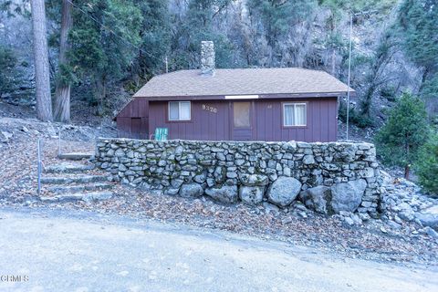 9320 Wood Road Forest Falls CA 92339