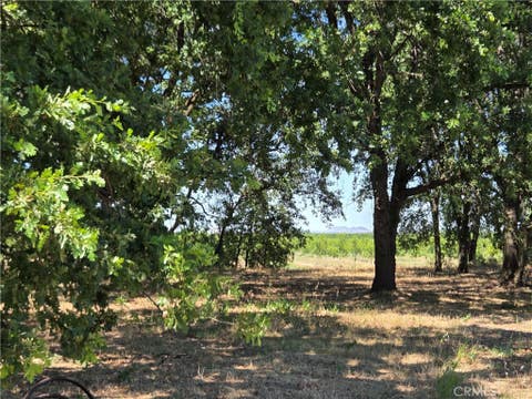 Photo of 0 N. B STREET, Tehama, CA 96021 (MLS # SN26132743)
