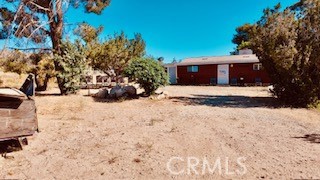 7676 Juniper
