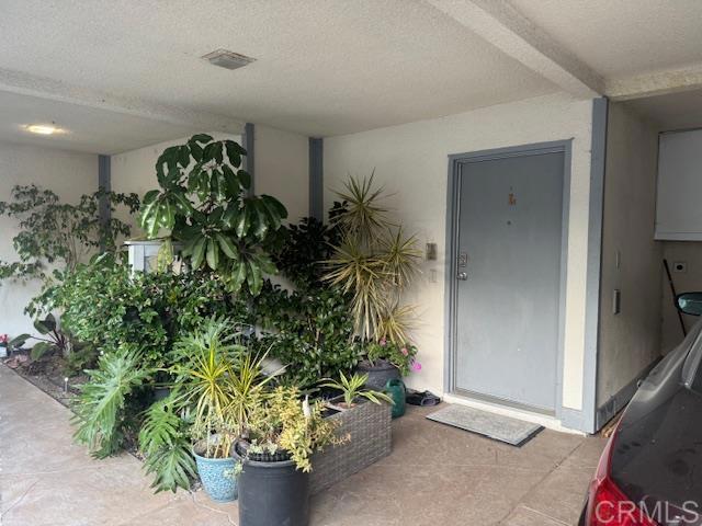 2388 Altisma Way