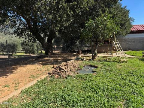 Tiny photo for 12104 Topa Lane, Santa Paula, CA 93060 (MLS # V1-34960)