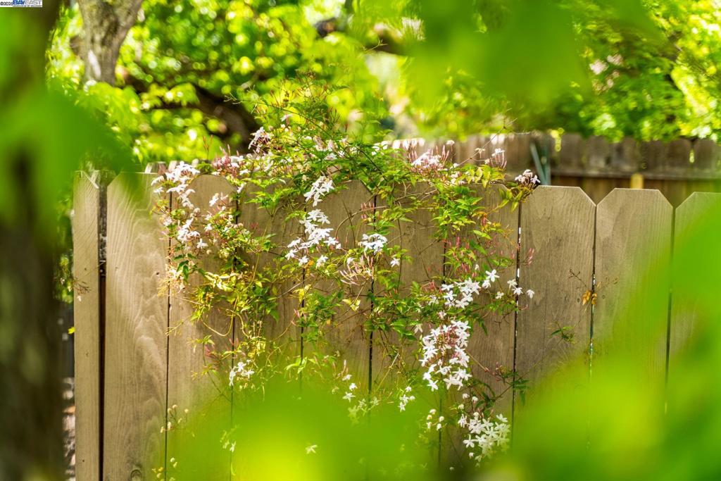 EL PINTADO - Residential