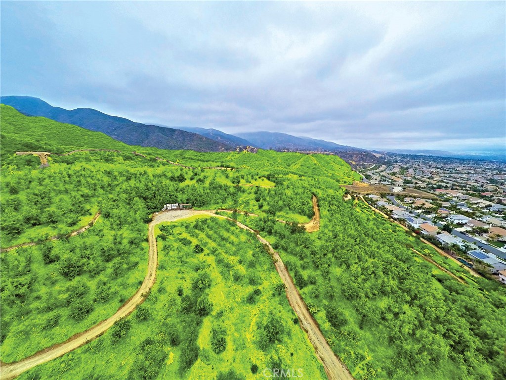 Forest Wealth Project - Land