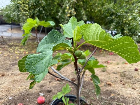 Tiny photo for 24854 Skyland Road, Los Gatos, CA 95033 (MLS # ML82037619)