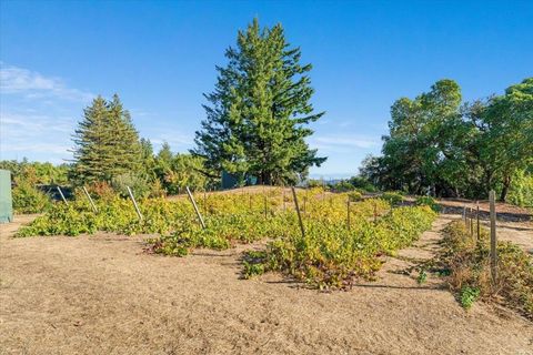 Tiny photo for 24854 Skyland Road, Los Gatos, CA 95033 (MLS # ML82037619)