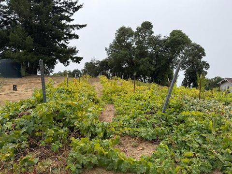 Tiny photo for 24854 Skyland Road, Los Gatos, CA 95033 (MLS # ML82037619)