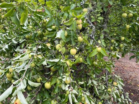 Tiny photo for 24854 Skyland Road, Los Gatos, CA 95033 (MLS # ML82037619)