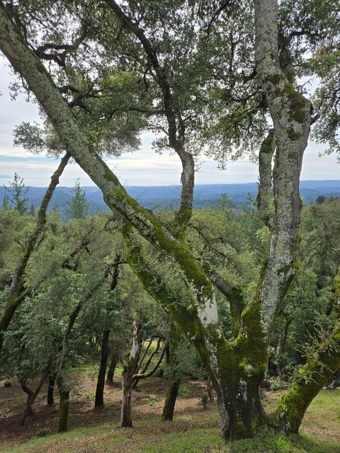 Tiny photo for 24854 Skyland Road, Los Gatos, CA 95033 (MLS # ML82037619)