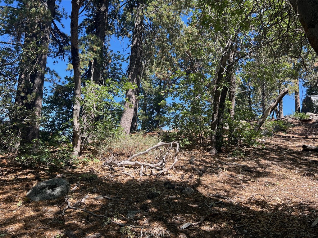 Sale includes two lots 0327-196-35-0000 and 0327-196-36-0000. Nice treed lots near Arrowbear Music Camp.