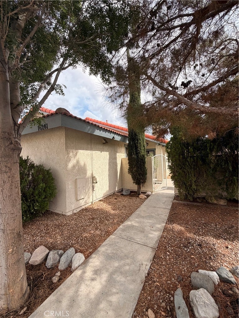 16241 Tokay