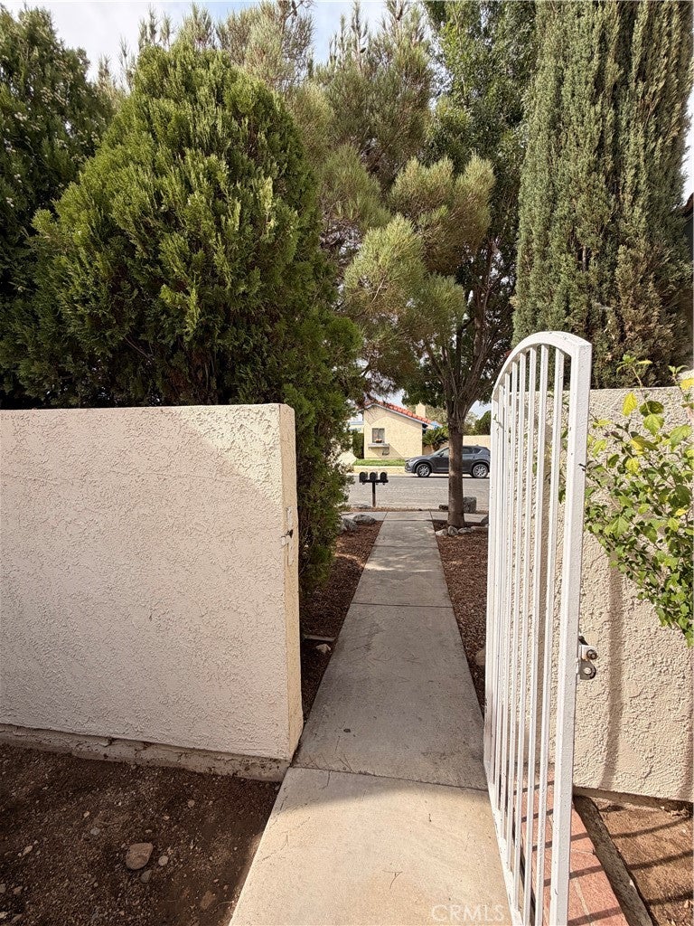 16241 Tokay