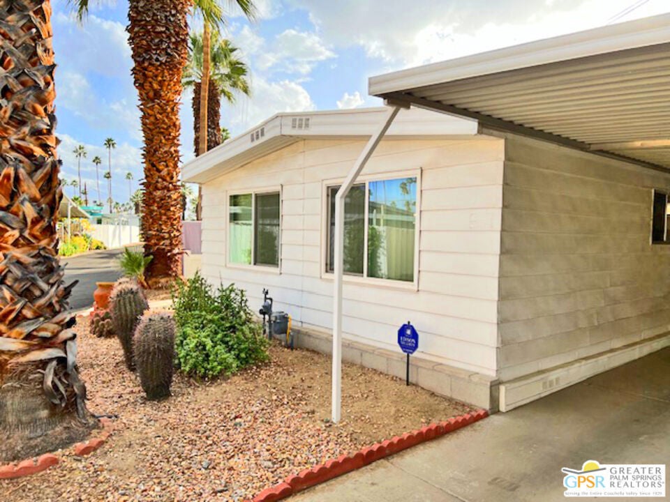 221 Safari Street