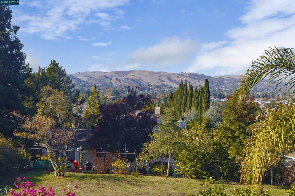 SHANNON HILLS - Residential