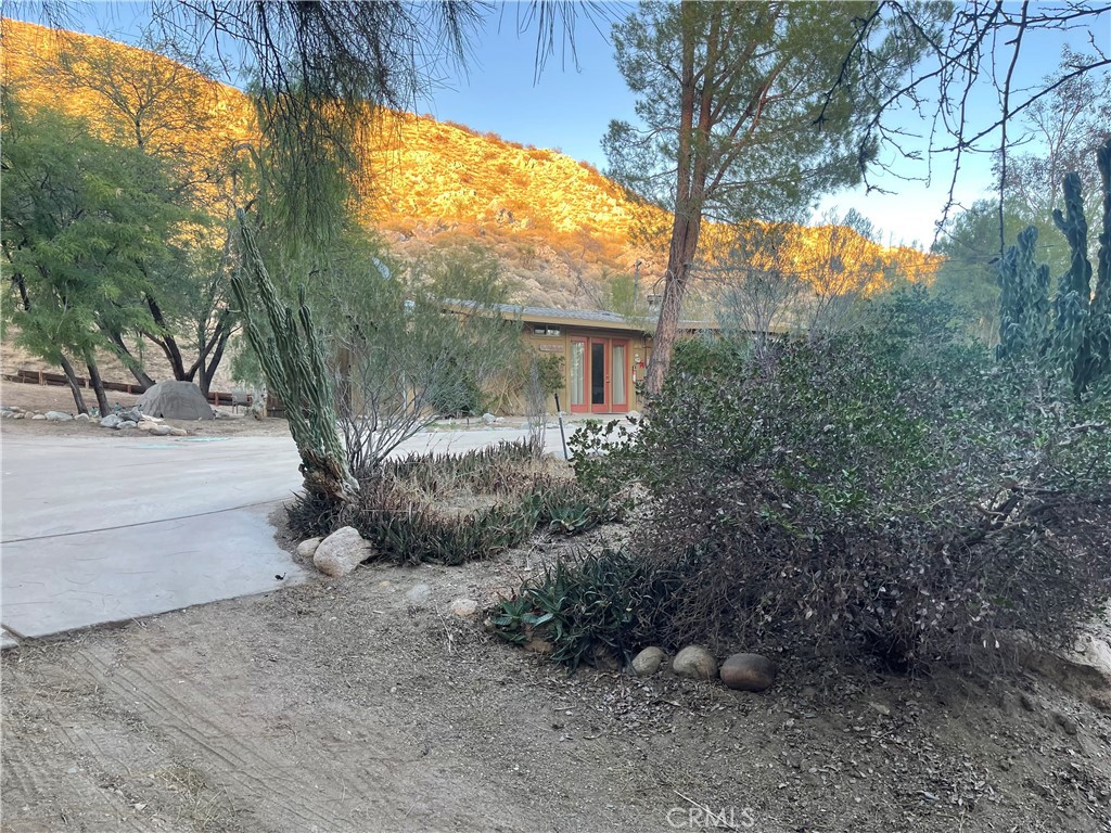 49974 49774 Palo Verde