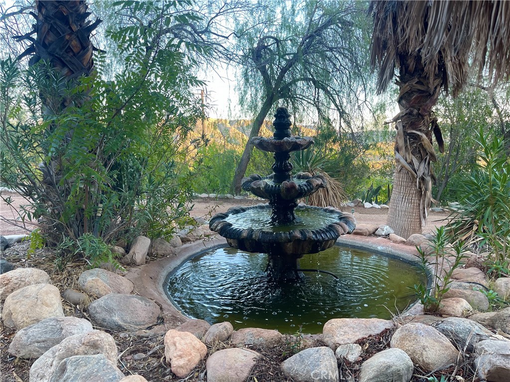 49974 49774 Palo Verde