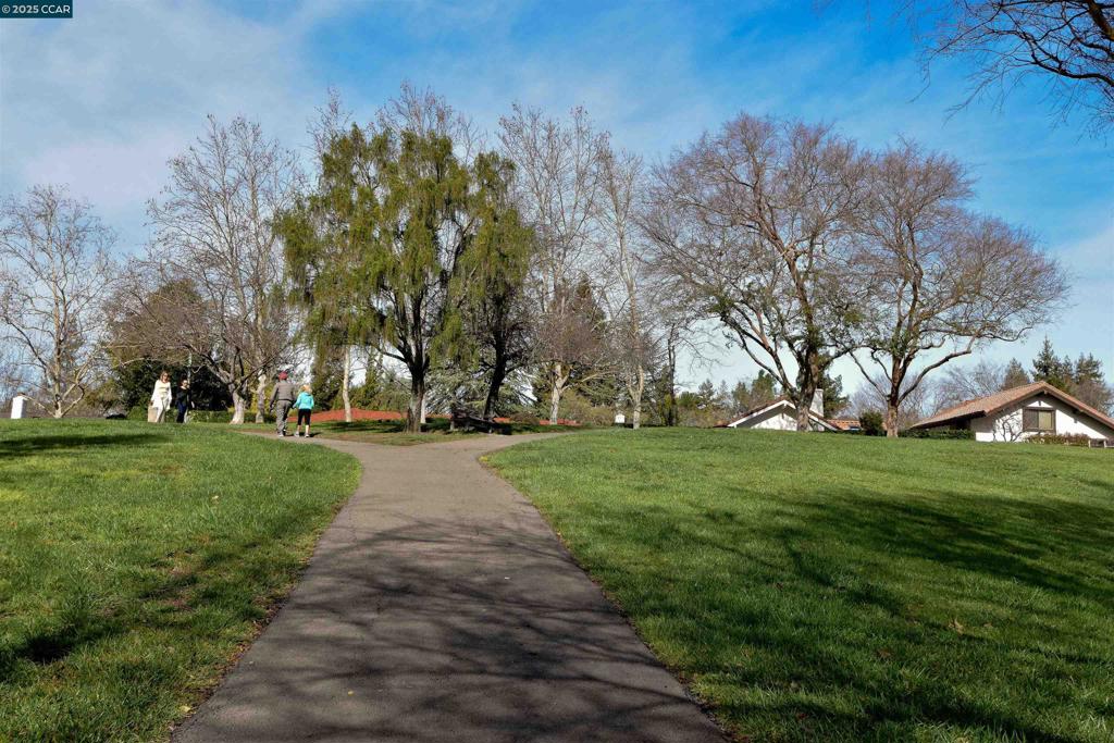 SYCAMORE HOMES - Residential