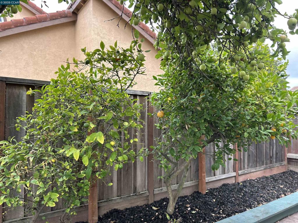 SOMERSET - Residential Lease