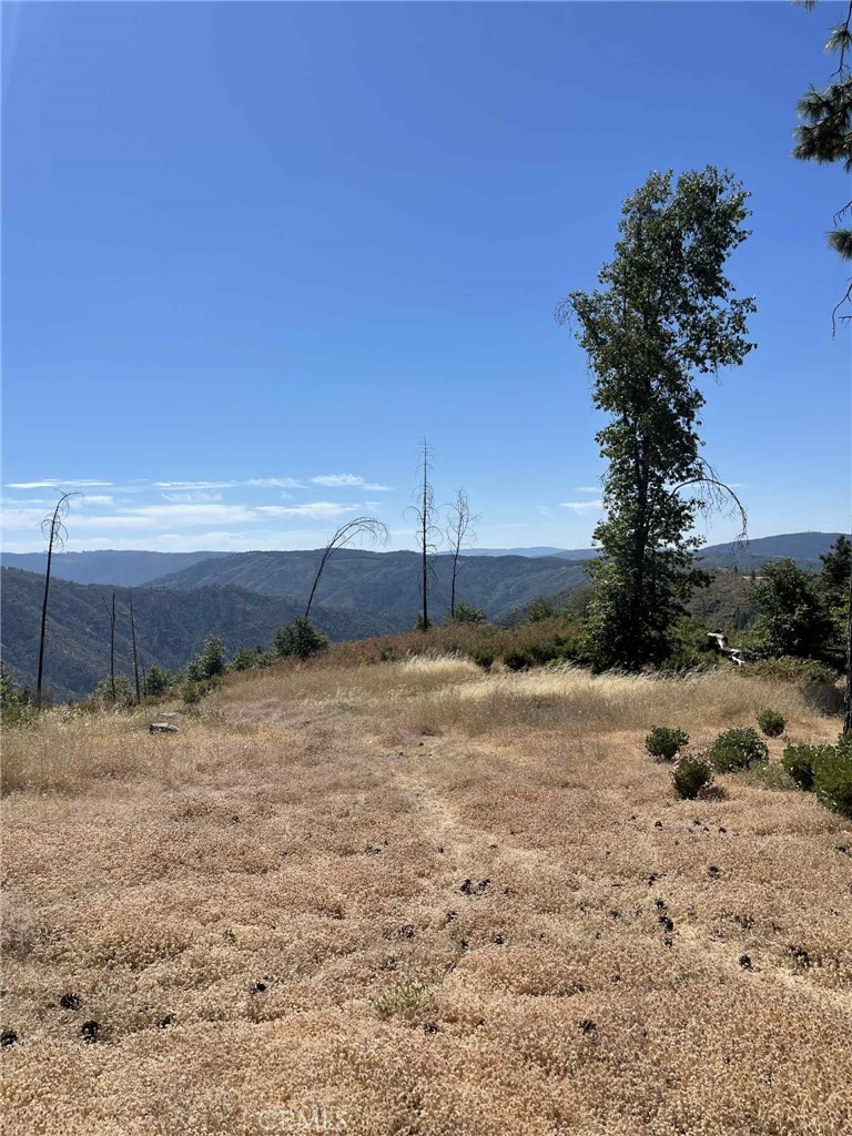 Discover the potential of this peaceful property located at 12269 Andy Mountain Rd in Concow, CA. This lot offers a unique opportunity to build your dream home or retreat in the foothills. The property is 11 acres and already features a well and septic, providing a valuable head start for future development.
A previous home once stood on the land but was lost in a fire, leaving behind an established homesite ready for your vision. Surrounded by nature, this parcel offers privacy, fresh mountain air, and a quiet lifestyle while still being within driving distance of Oroville and nearby amenities.
Whether you’re looking for a permanent residence, a vacation getaway, or an investment opportunity, this property is ready for its next chapter.