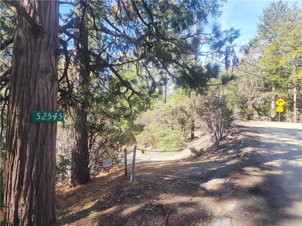 52547 Pine Cove Road