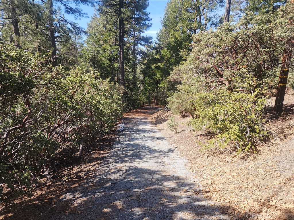 52547 Pine Cove Road