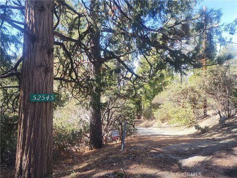 52547 Pine Cove Road Idyllwild CA 92549