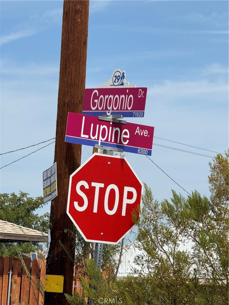 Corner lot on paved road. Water at street. For $10,000?! ***** COMPARE***** Close to shopping, schools, city park, and restaurants. View of Joshua Tree National Monument to south.