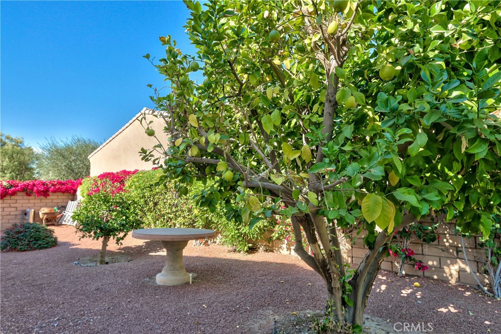 Carmela (31305) - Residential