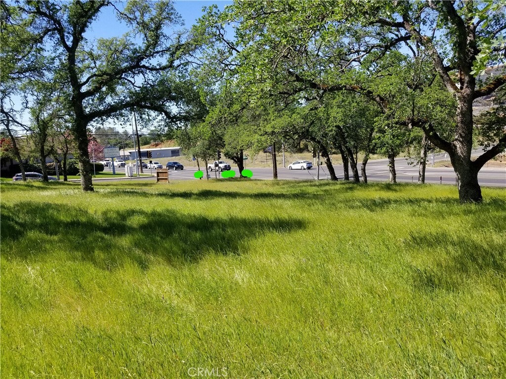 0 Olive Hwy