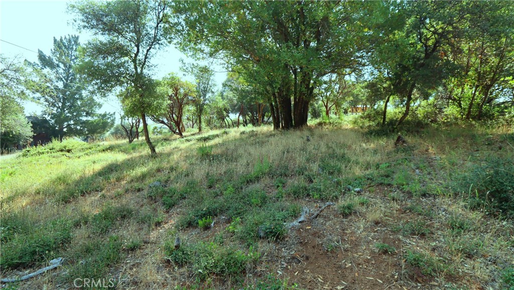Gently Sloped Lot with Lake Access and Great Amenities Nearby. This 8,300 square foot lot has a gentle upslope and is ready for your new home. Located in a quiet, family-friendly neighborhood just minutes from Clear Lake, shopping, restaurants, and Clear Lake State Park. The community is Firewise certified, with a focus on safety. HOA amenities include a park, clubhouse, and marina access—perfect for enjoying boating and other lake activities. See the potential and picture your future here.