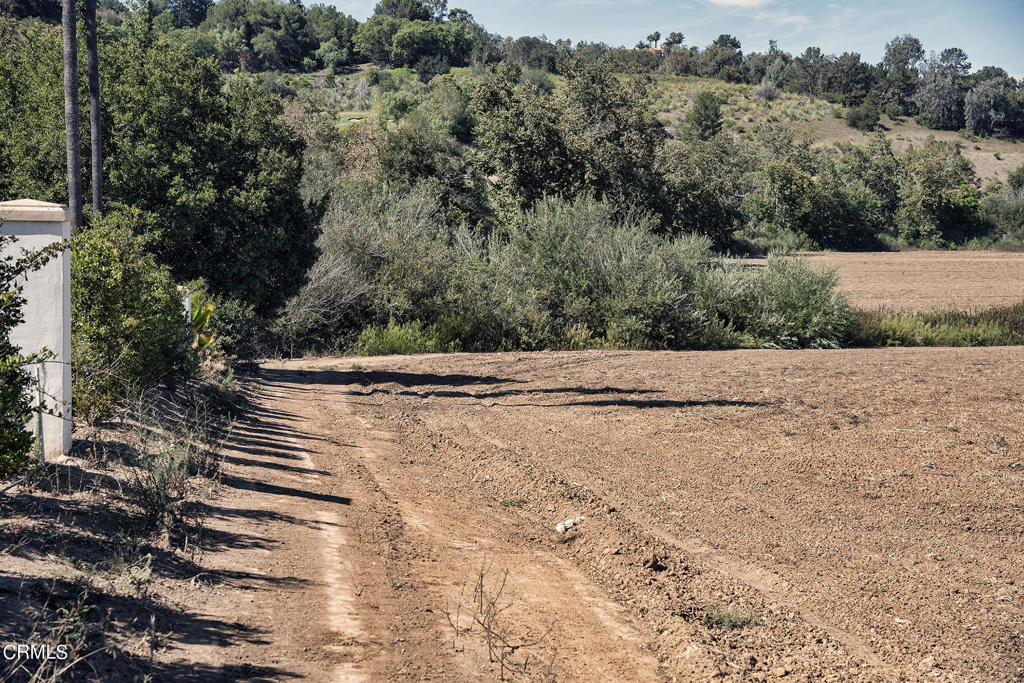 Las Posas Estates: Other - 0043 - Land