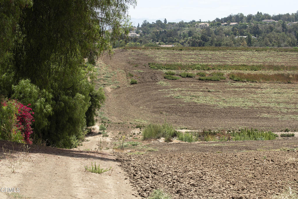 Las Posas Estates: Other - 0043 - Land