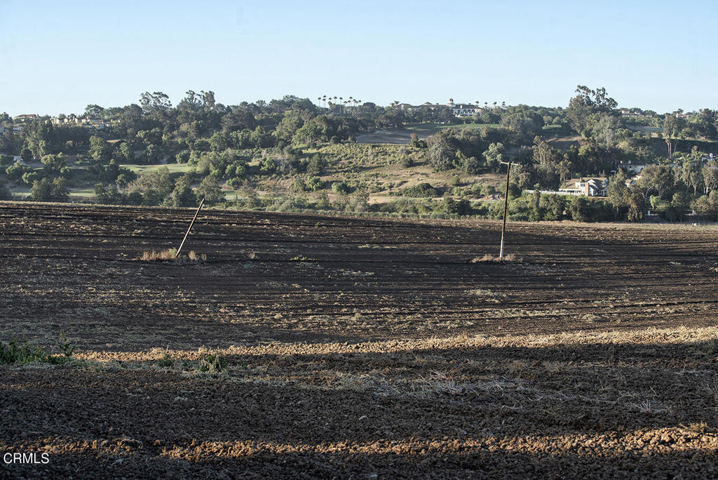 Las Posas Estates: Other - 0043 - Land